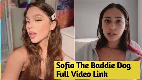 A TikTok user named “Sofia the Baddie” posted a video of herself and her dog having fun. Even though she barely has 3,000 TikTok followers, her puppy video quickly became a hit, and now everyone is talking about it. The second installment of the Sofia the Baddie Dog film reportedly exists and has been shared on Reddit.
